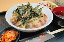 Asian Diner 585 Namba
